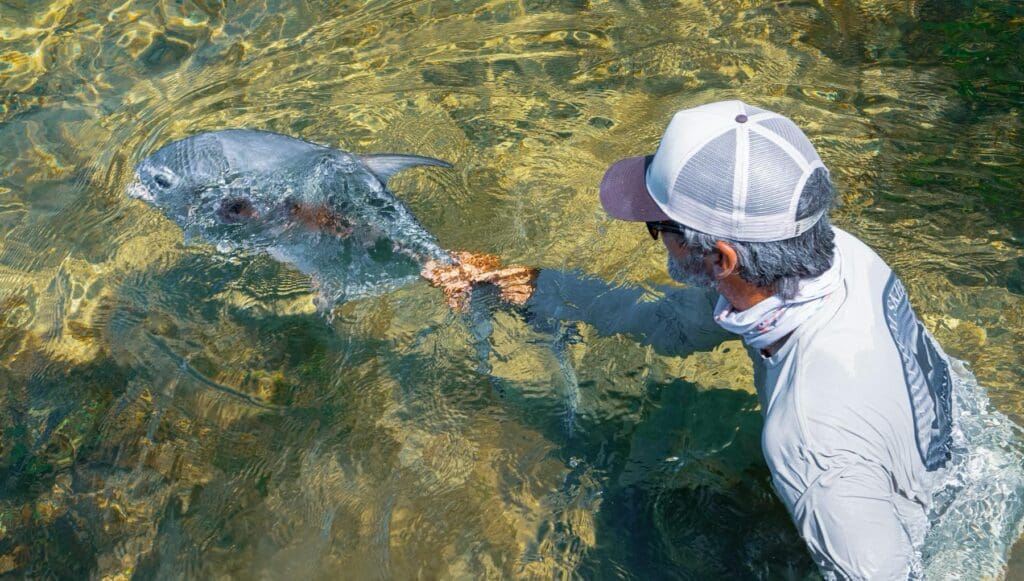 Biscayne Bay Permit